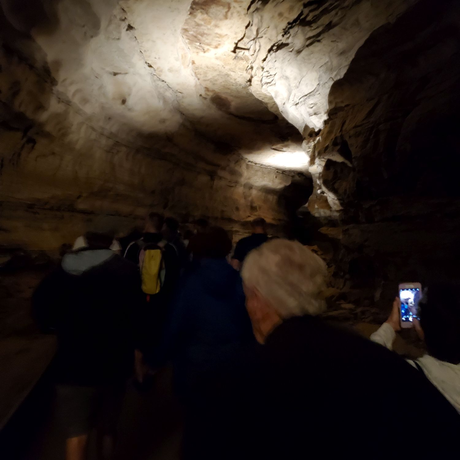 Mammouth Cave Historic Tour 